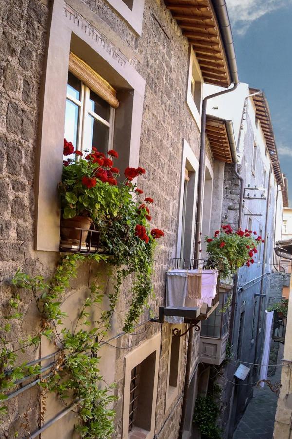 La Rosa Scarlatta Apartment Viterbo Exterior foto